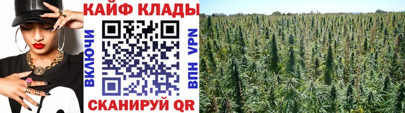 Купить наркоту Киреевск МАРИХУАНА АМФ ссылка на мегу зеркало ГАШИШ COCAIN A PVP