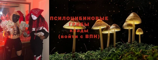 метадон Армянск