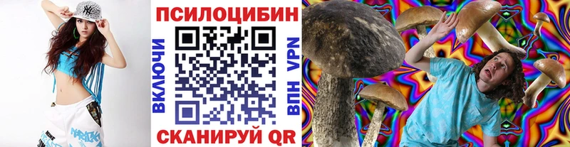 Псилоцибиновые грибы Psilocybine cubensis  Киреевск 